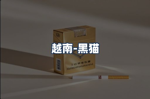 越南黑猫